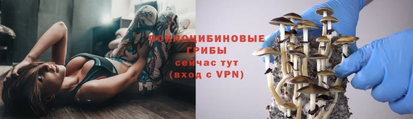 герыч Володарск