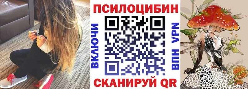 Галлюциногенные грибы Cubensis  Оренбург 